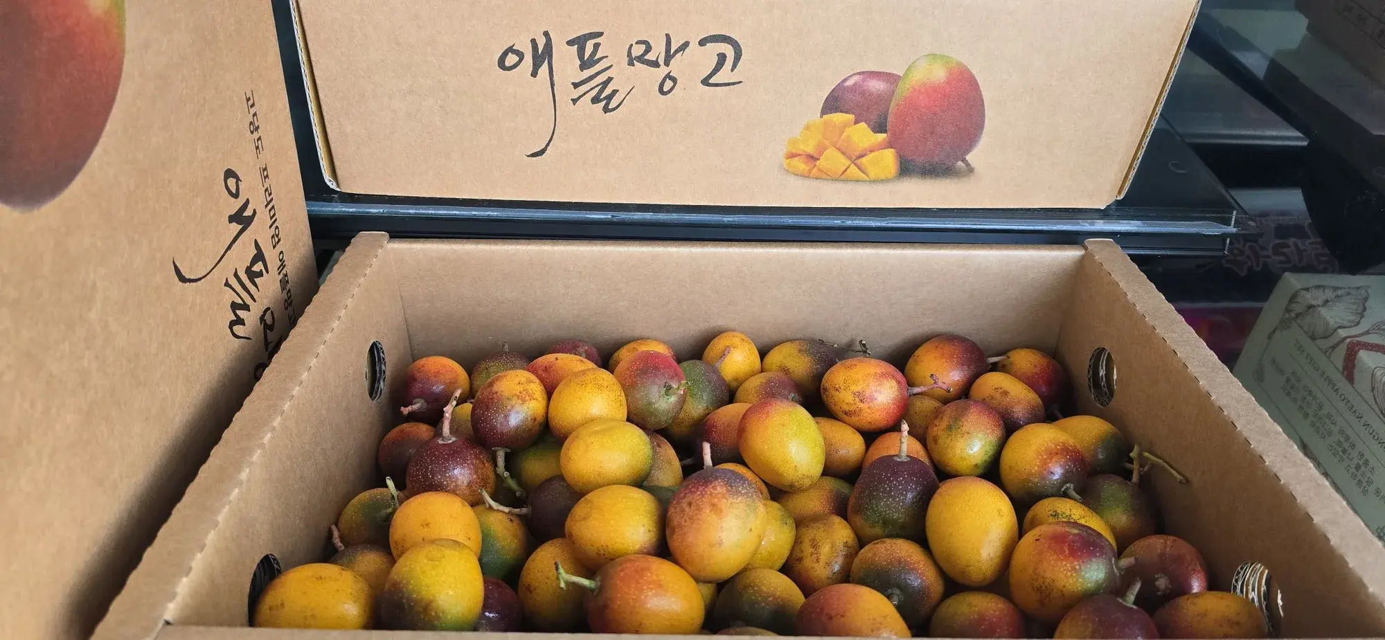 상자에 담긴 제주산 레드망고